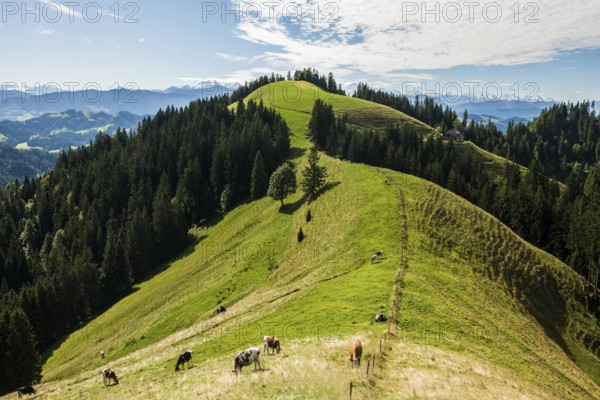 Panorama, snow-covered mountains, Bernese Oberland, view from Lüderenalp, Emmental, Canton of Bern,