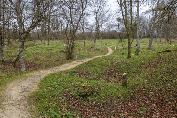 Scenery around Fleury-devant-Douaumont, a commune in the Meuse department in Grand Est in