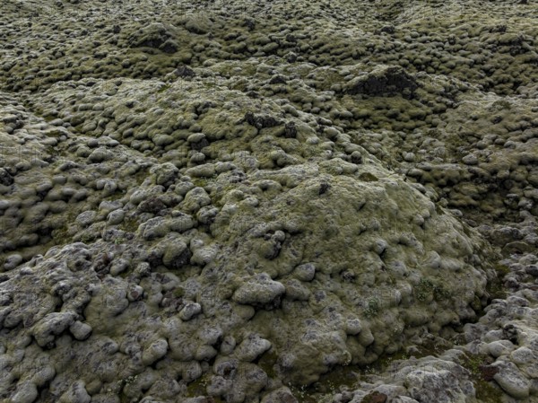Lava, mosses, volcanic landscape, cloudy, summer, aerial view, Eldhraun, Kirkjubaerklaustur,