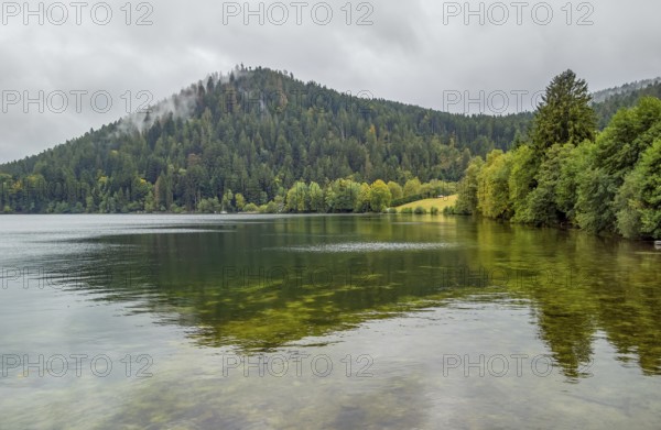 Waterside scenery around Gerardmer in France, a commune in the Vosges department in Grand Est in