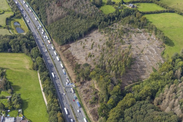 Aerial photo, forest damage on the A1 motorway with stalled truck traffic in the Haßlinghausen