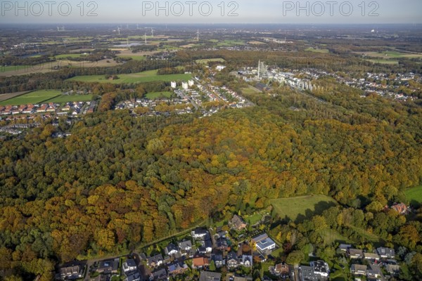 Aerial view, forest area in autumn colours and Ineos Phenol chemical plant in the district Rentfort