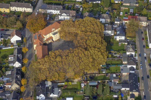 Aerial photo, Pestalozzi School and autumn-coloured trees in the district of Zweckel in Gladbeck,