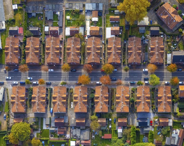 Aerial view, workers' housing estate and miners' housing estate Kirchhellener Straße in the