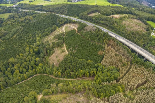 Aerial photograph, forest damage on the A45 motorway in the Dahl district of Hagen, Ruhr area,