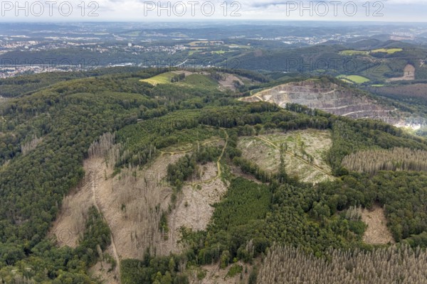 Aerial view, forest damage at Rafflenbeuler Kopf at the village Zurstraße in the district Eilpe in