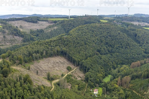 Aerial photo, forest damage and wind turbines in the Rummenohl district of Hagen, Ruhr area, North