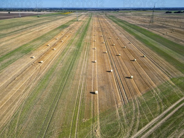 Farmland after harvest, hay bales, straw bales temporarily stored on field, baler, agriculture,