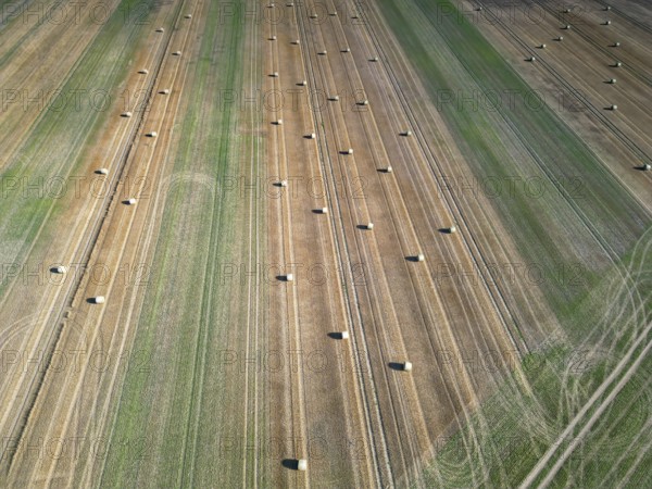 Farmland after harvest, hay bales, straw bales temporarily stored on field, baler, agriculture,