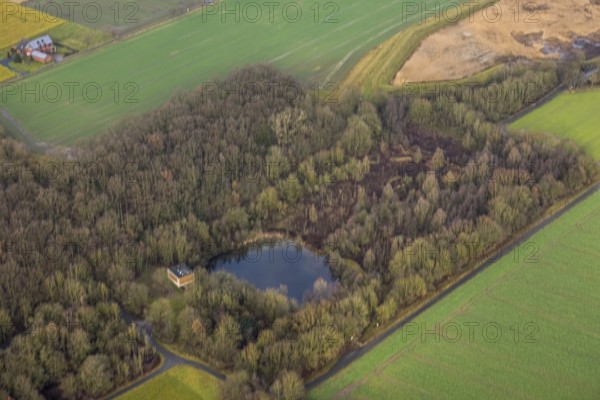 Aerial view forest area Sandbochumer Heide near Kerstheider Straße in Hamm, Ruhr area, North