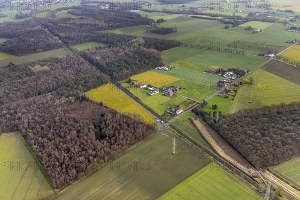Aerial view forest area Sandbochumer Heide near Kerstheider Straße in Hamm, Ruhr area, North