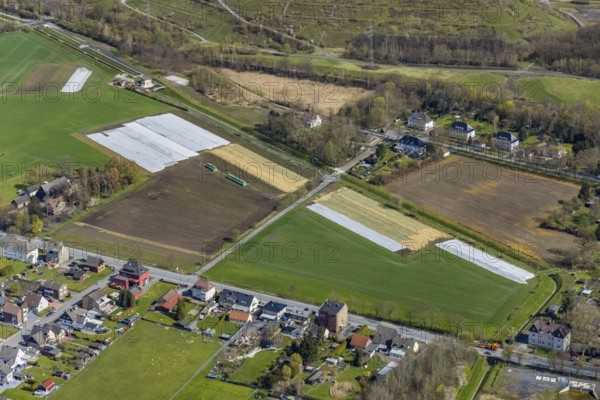 Aerial view, agricultural area Hoppeistraße, asparagus cultivation, Herringen, Hamm, Ruhr area,