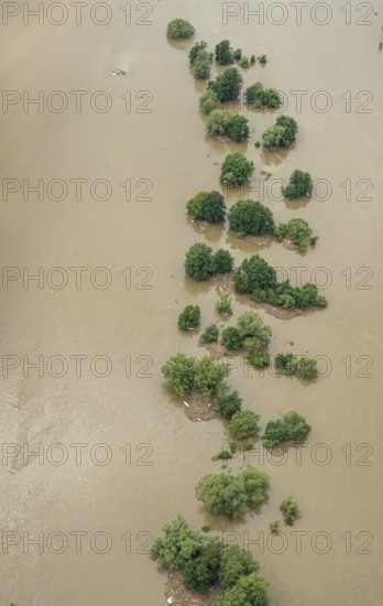 Aerial photograph, Ruhr floods, rows of trees in the Ruhr water, flooding, Blankenstein, Hattingen,