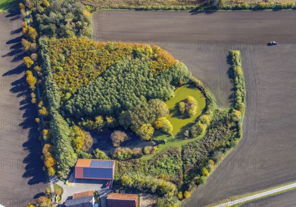 Aerial view, Small forest with pond at Neuer Weg behind the house Reck in the district Pelkum in
