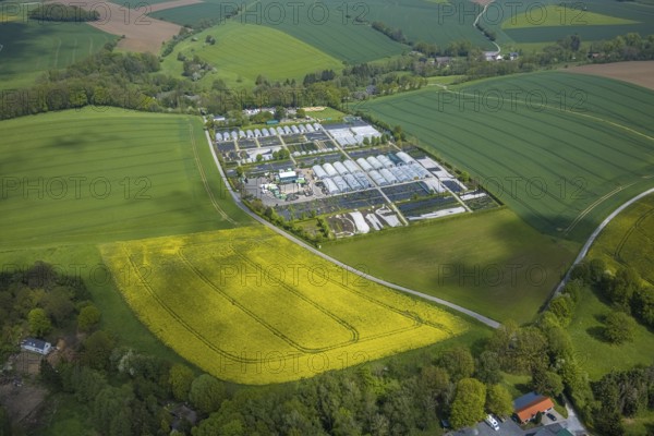 Aerial view, container nursery and perennials Kunz, Leubeck, Heiligenhaus, Ruhr area, North