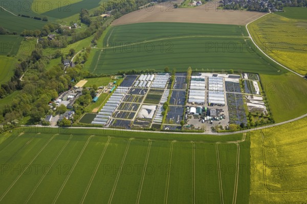 Aerial view, container nursery and perennials Kunz, Leubeck, Heiligenhaus, Ruhr area, North