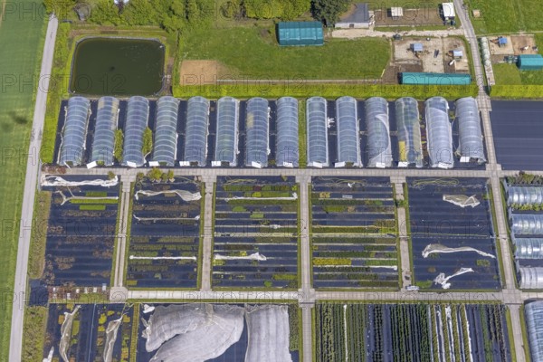 Aerial view, container nursery and perennials Kunz, Leubeck, Heiligenhaus, Ruhr area, North