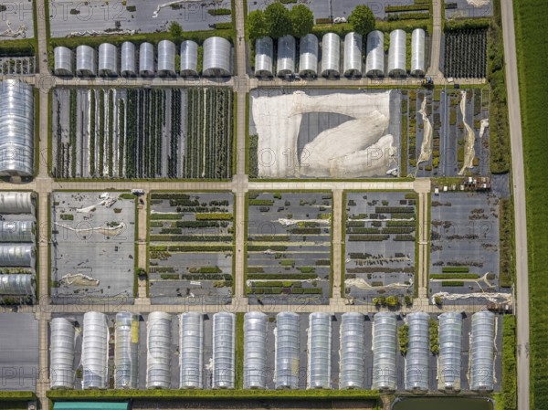 Aerial view, container nursery and perennials Kunz, Leubeck, Heiligenhaus, Ruhr area, North