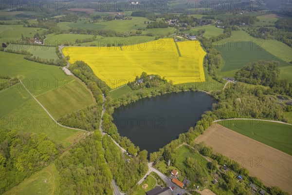 Aerial view, rape fields, Abtskücher pond, Hetterscheidt, Heiligenhaus, Ruhr area, North