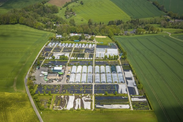 Aerial view, container nursery and perennials Kunz, Leubeck, Heiligenhaus, Ruhr area, North