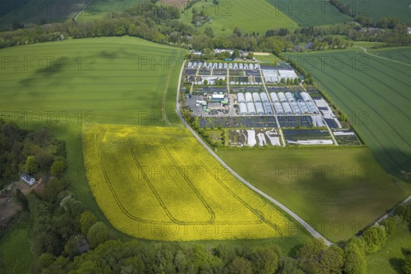 Aerial view, container nursery and perennials Kunz, Leubeck, Heiligenhaus, Ruhr area, North