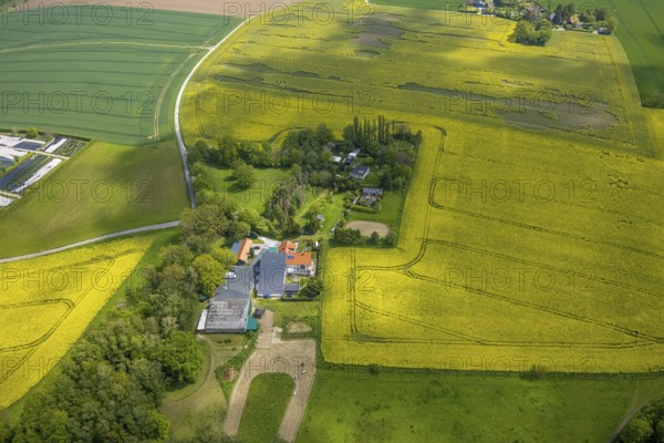 Aerial view, rape fields, agricultural estate Herbeckweg, Leubeck, Heiligenhaus, Ruhr area, North