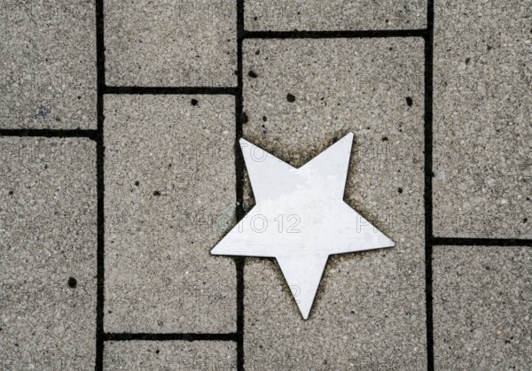 Stars on sidewalk as memorial for Nazi victims, Tilbeck Abbey, Tilbeck foundation, Havixbeck,
