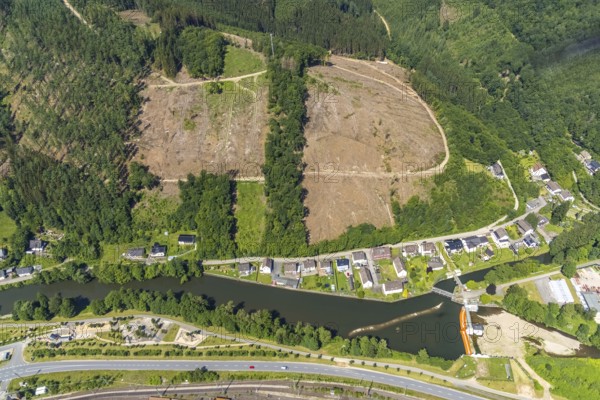 Aerial view, forest area and forest damage on Lennestraße at the historic Lennewehr, Finnentrop,