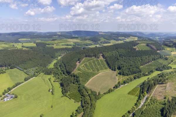 Aerial view, forest area near Serkenrode, Finnentrop, Sauerland, North Rhine-Westphalia, Germany,