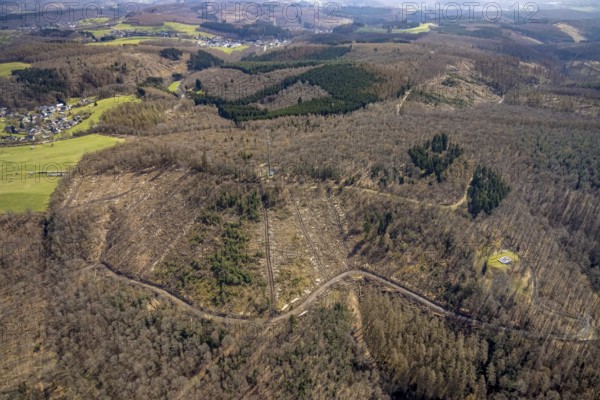 Radio mast in forest area with forest damage, Freudenberg, Sauerland, North Rhine-Westphalia,