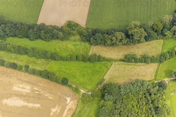 Aerial view, The Rammbach crosses Ölmühlenweg in Warmen near Bentrop, Fröndenberg/Ruhr, Ruhr area,