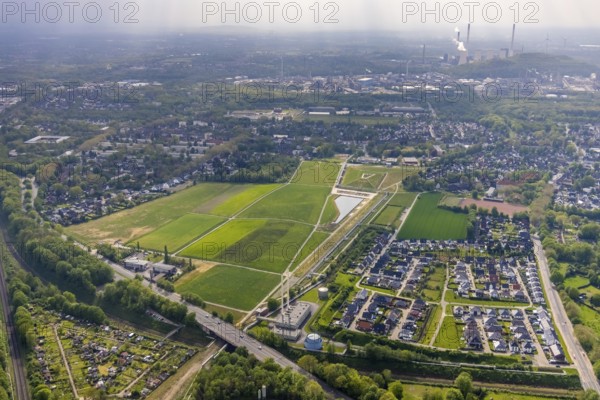 Aerial view, Glückauf Park Hassel - Park des Wandels, housing estate Valentinstraße, Am Brander