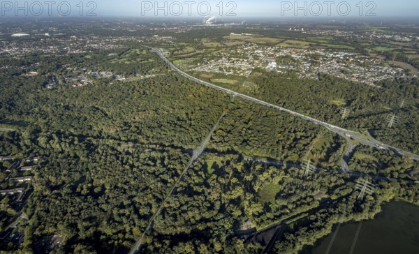 Aerial view, Resser Mark city forest with Münsterstrasse in the Resser Mark district of