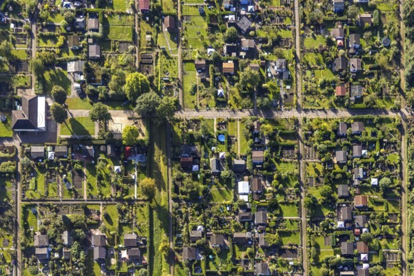 Aerial view, allotment garden association Buer-Erle in the district Erle in Gelsenkirchen, Ruhr
