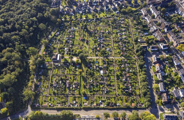 Aerial view, allotment garden association Buer-Erle in the district Erle in Gelsenkirchen, Ruhr