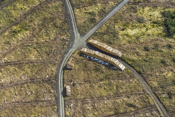 Aerial view, forest damage in the forest area Berg Ebschloh, Erndtebrück, Siegerland, North