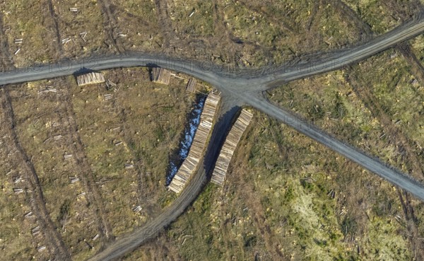 Aerial view, forest damage in the forest area Berg Ebschloh, Erndtebrück, Siegerland, North