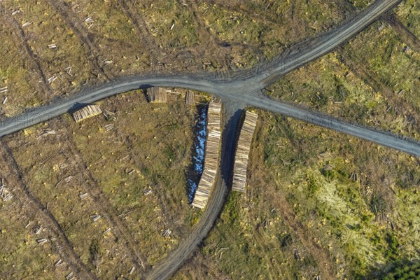Aerial view, forest damage in the forest area Berg Ebschloh, Erndtebrück, Siegerland, North