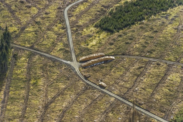 Aerial view, forest damage in the forest area Berg Ebschloh, Erndtebrück, Siegerland, North