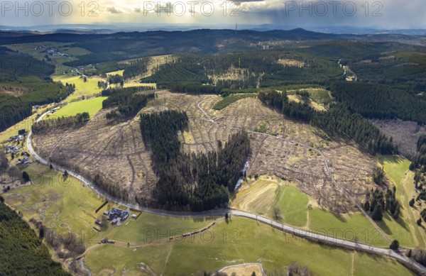 Aerial photo, forest damage in the forest area Berg Ebschloh, Erndtebrück, Siegerland, North