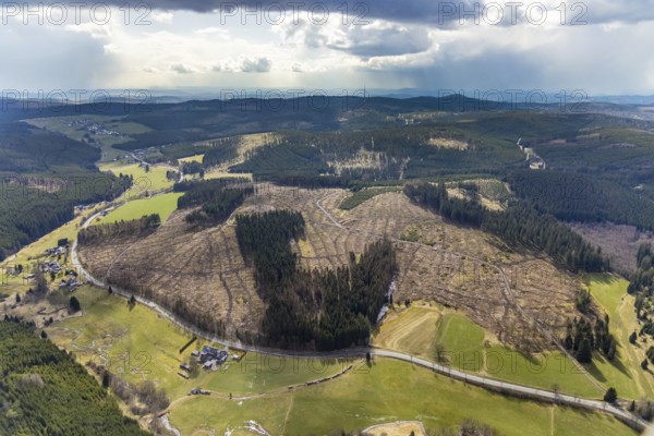 Aerial photo, forest damage in the forest area Berg Ebschloh, Erndtebrück, Siegerland, North