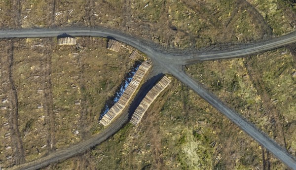 Aerial view, forest damage in the forest area Berg Ebschloh, Erndtebrück, Siegerland, North