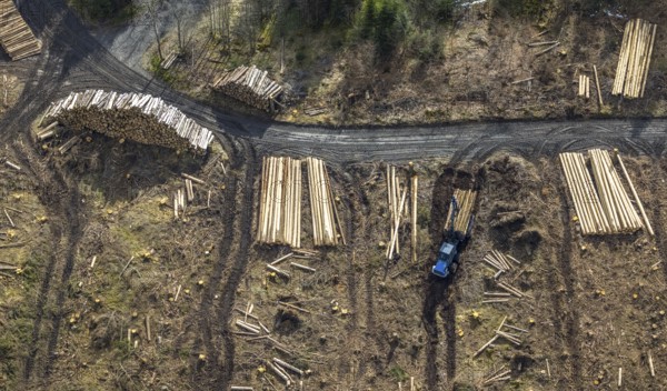 Aerial photo, forest damage in the forest area Berg Ebschloh, timber transport, Erndtebrück,