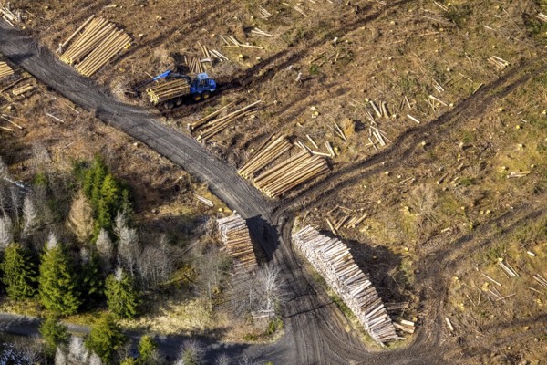 Aerial photo, forest damage in the forest area Berg Ebschloh, timber transport, Erndtebrück,