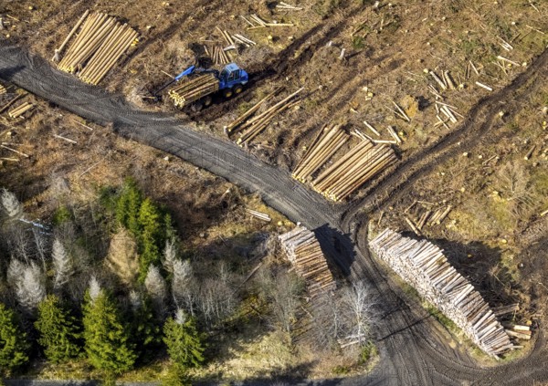 Aerial photo, forest damage in the forest area Berg Ebschloh, timber transport, Erndtebrück,