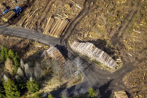 Aerial photo, forest damage in the forest area Berg Ebschloh, timber transport, Erndtebrück,