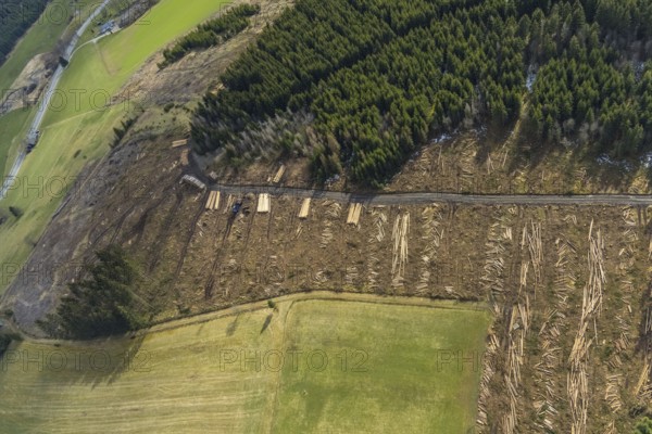 Aerial view, forest damage in the forest area Berg Ebschloh, Erndtebrück, Siegerland, North