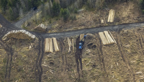 Aerial photo, forest damage in the forest area Berg Ebschloh, timber transport, Erndtebrück,