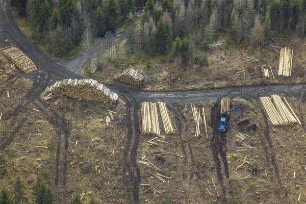 Aerial photo, forest damage in the forest area Berg Ebschloh, timber transport, Erndtebrück,