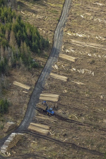 Aerial view, forest damage in the forest area Berg Ebschloh, Erndtebrück, Siegerland, North